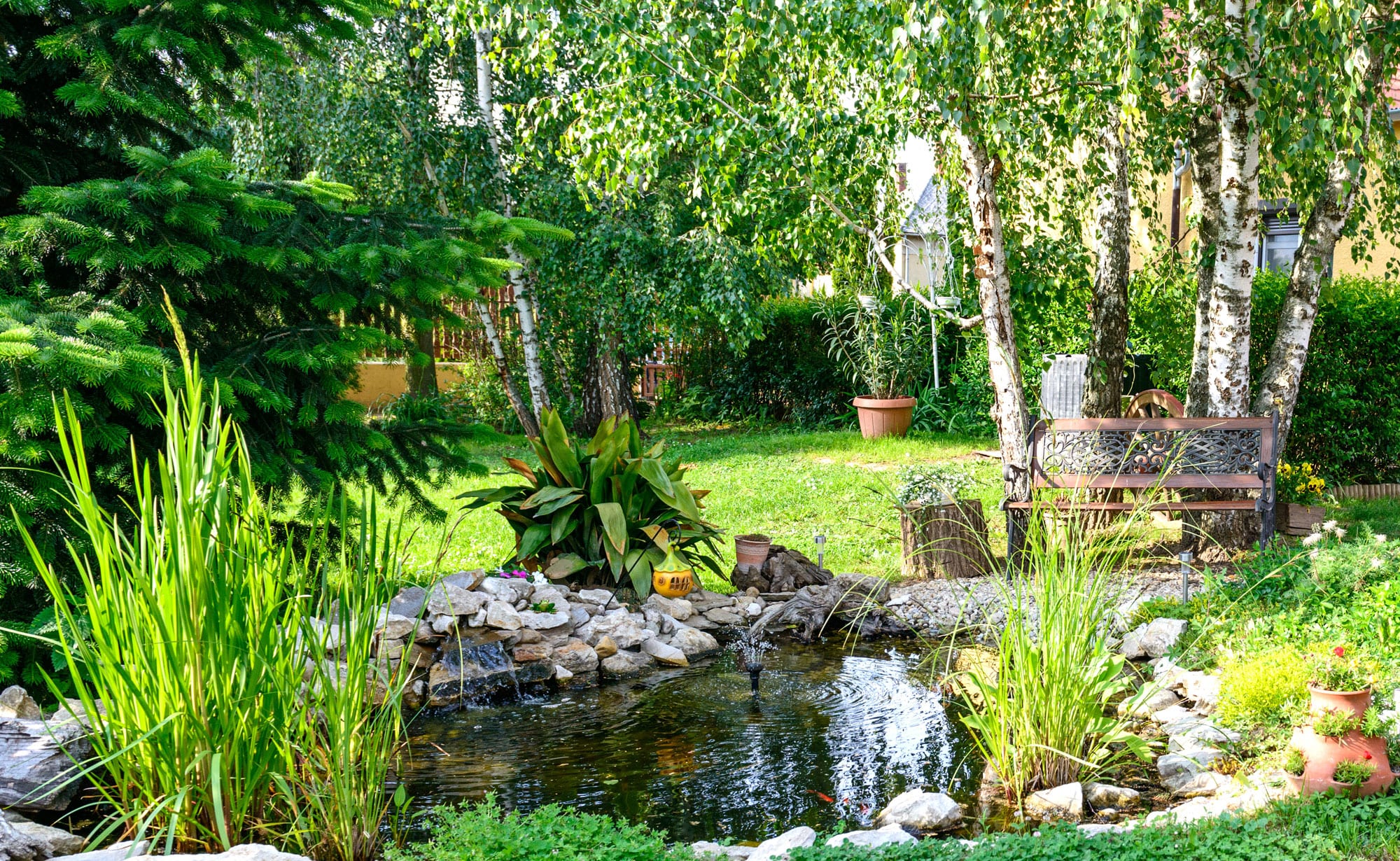 Backyard image - Ben Eichorn Real Estate Team