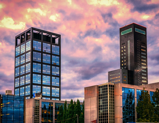 Investment Services - Kolt Realty Inc.
